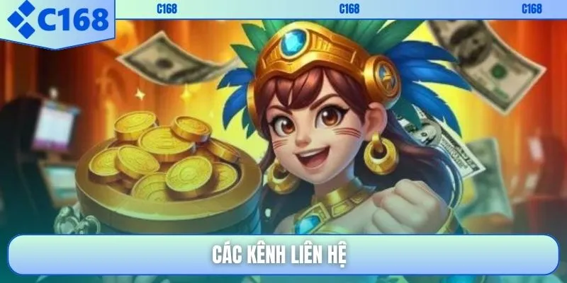 Các kênh liên hệ